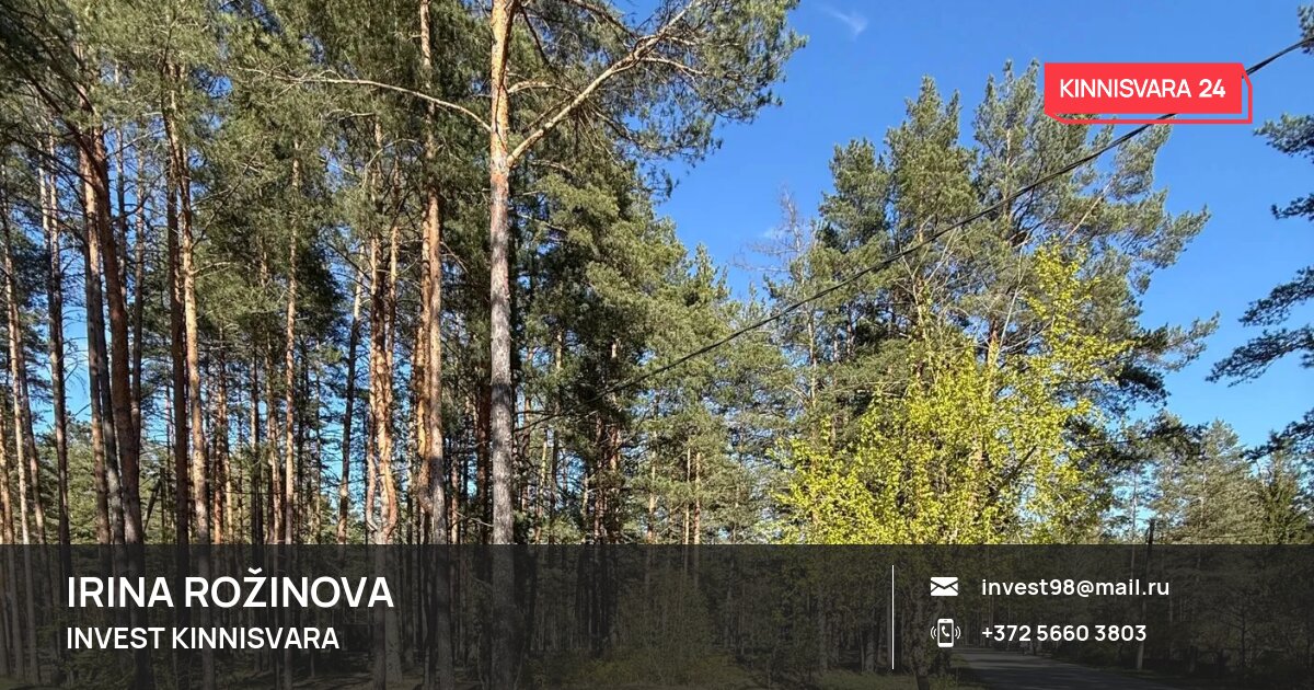 Müüa maa, E. Vilde tn 48, Narva-Jõesuu linn