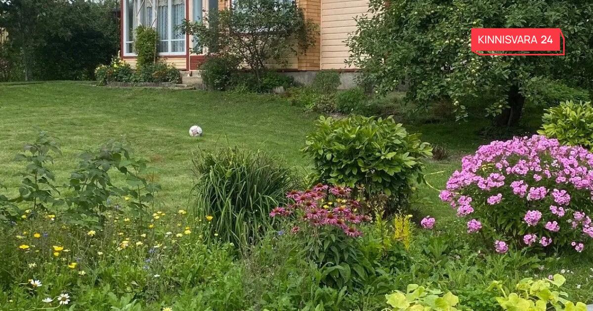 Müüa suvila, 3 tuba, Ehitaja tee 13, Navi küla, Võru vald